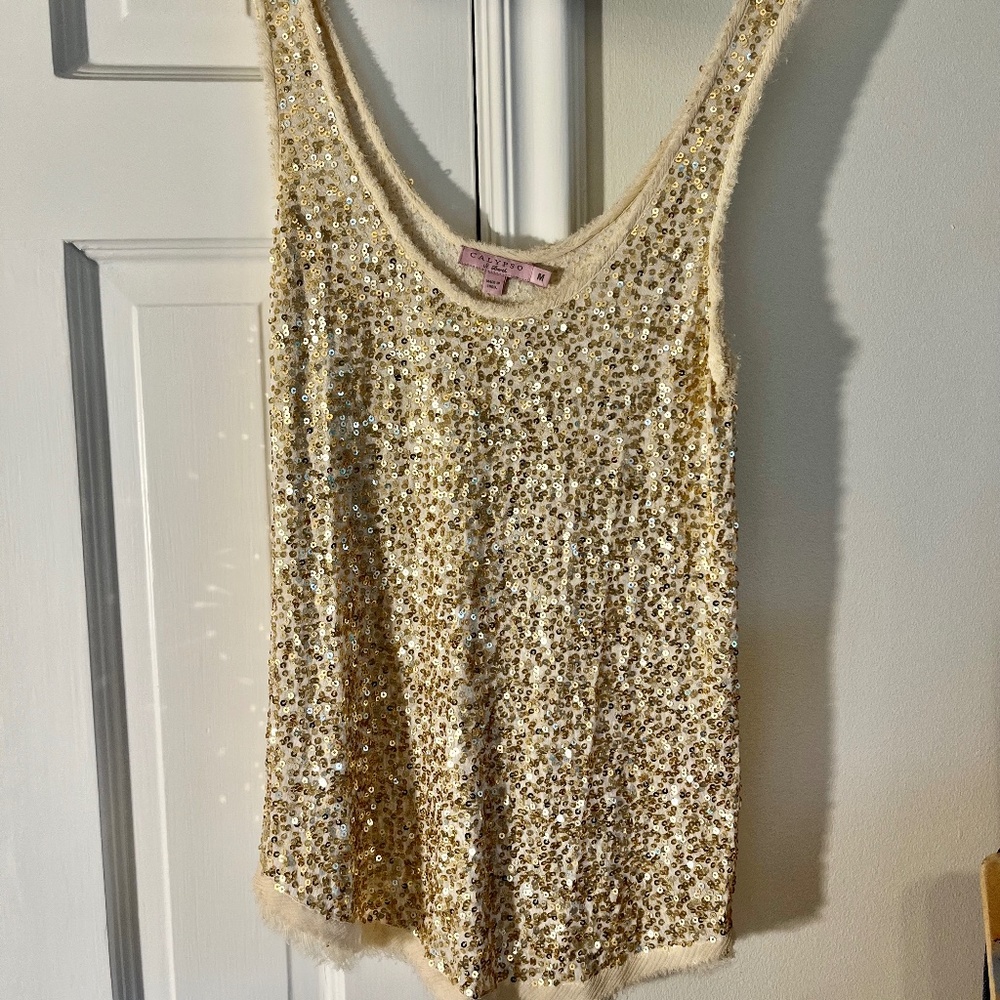 Gold Sequin Casual Top